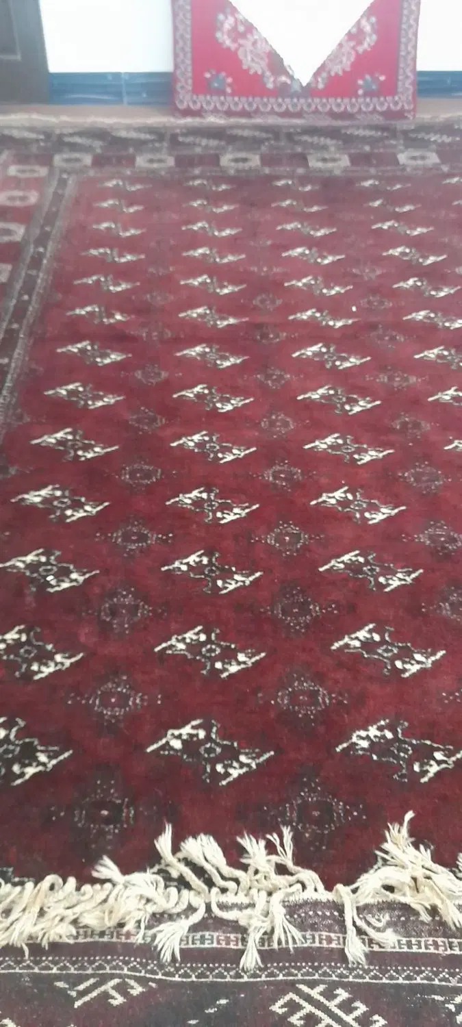 فرش|فرش|بندر ترکمن, |دیوار