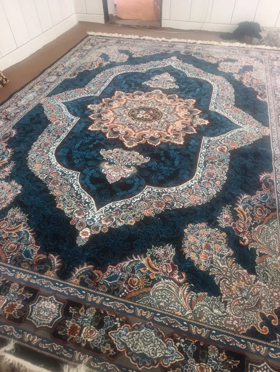 قالی نو پلمب ۷میلیون|فرش|داراب, |دیوار