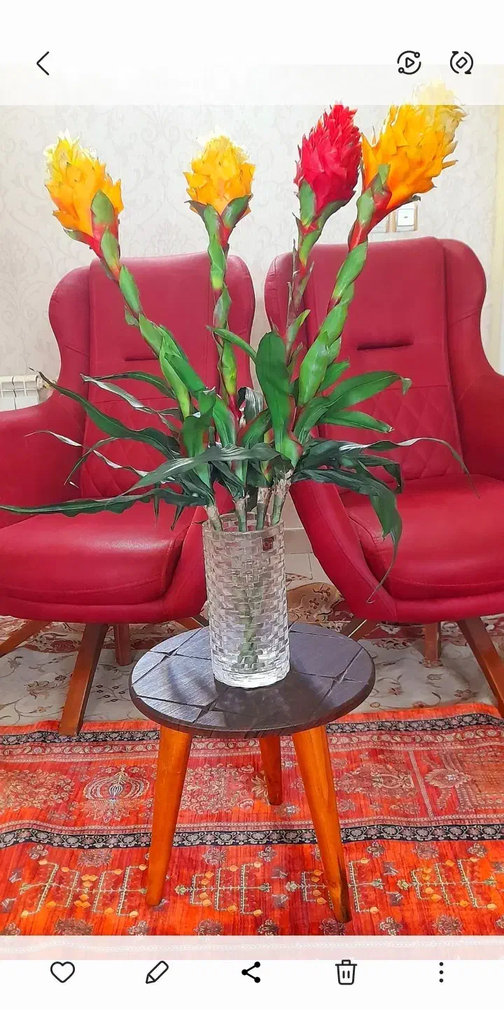 گل و گلدان|گل مصنوعی|تهران, نیلوفر|دیوار