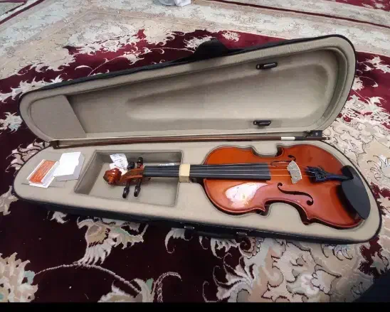 ویالون آماتی ۱۰۰|ویولن|مشهد, امیر|دیوار