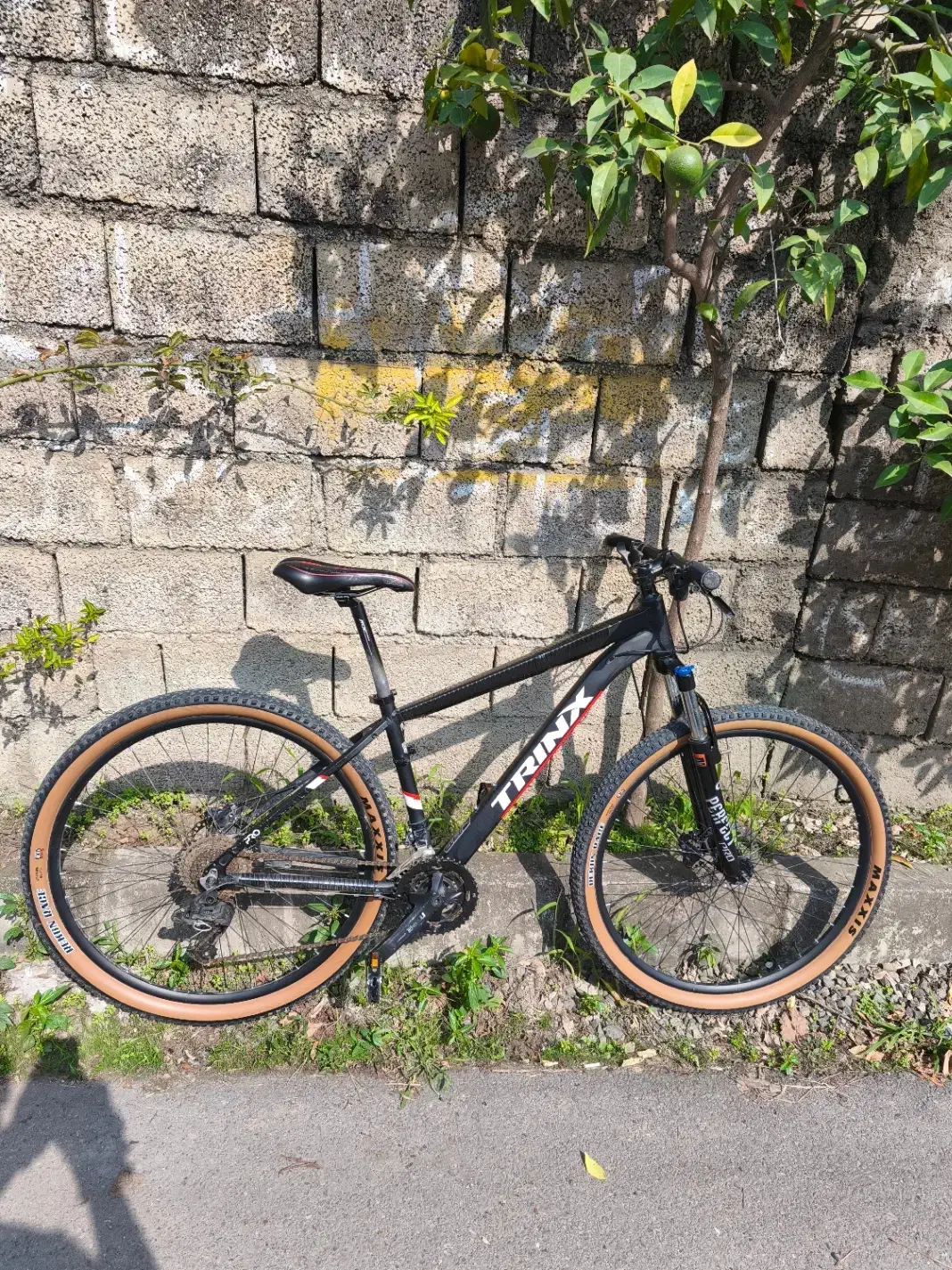 فروش دوچرخه|دوچرخه، اسکیت، اسکوتر|تنکابن, |دیوار