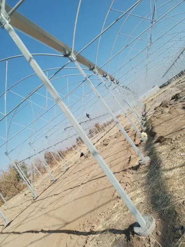 نیروی کاری برا گلخانه سازی|استخدام صنعتی، فنی، مهندسی|بیضا, |دیوار