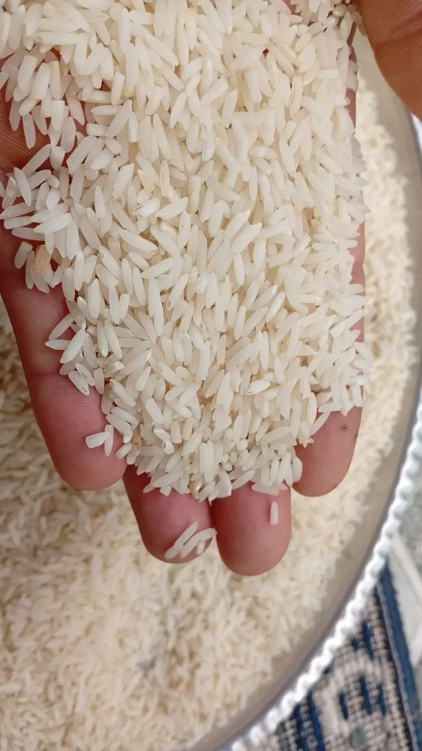 لاشه هاشمی|خوردنی و آشامیدنی|سنگر, |دیوار