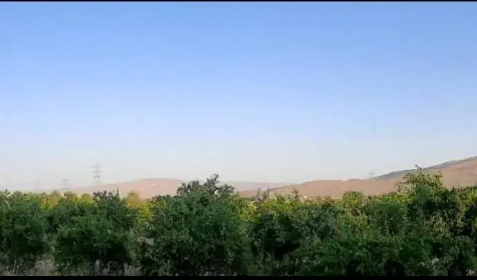 فروش باغ انارثمری|فروش دفتر صنعتی، کشاورزی، تجاری|فسا, |دیوار