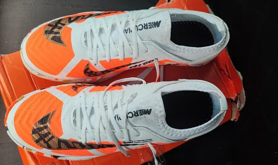 کتونی سالنی با کیفیت و با زیره لاستیک و کیفیت بالا|کیف، کفش، کمربند|رودسر, |دیوار