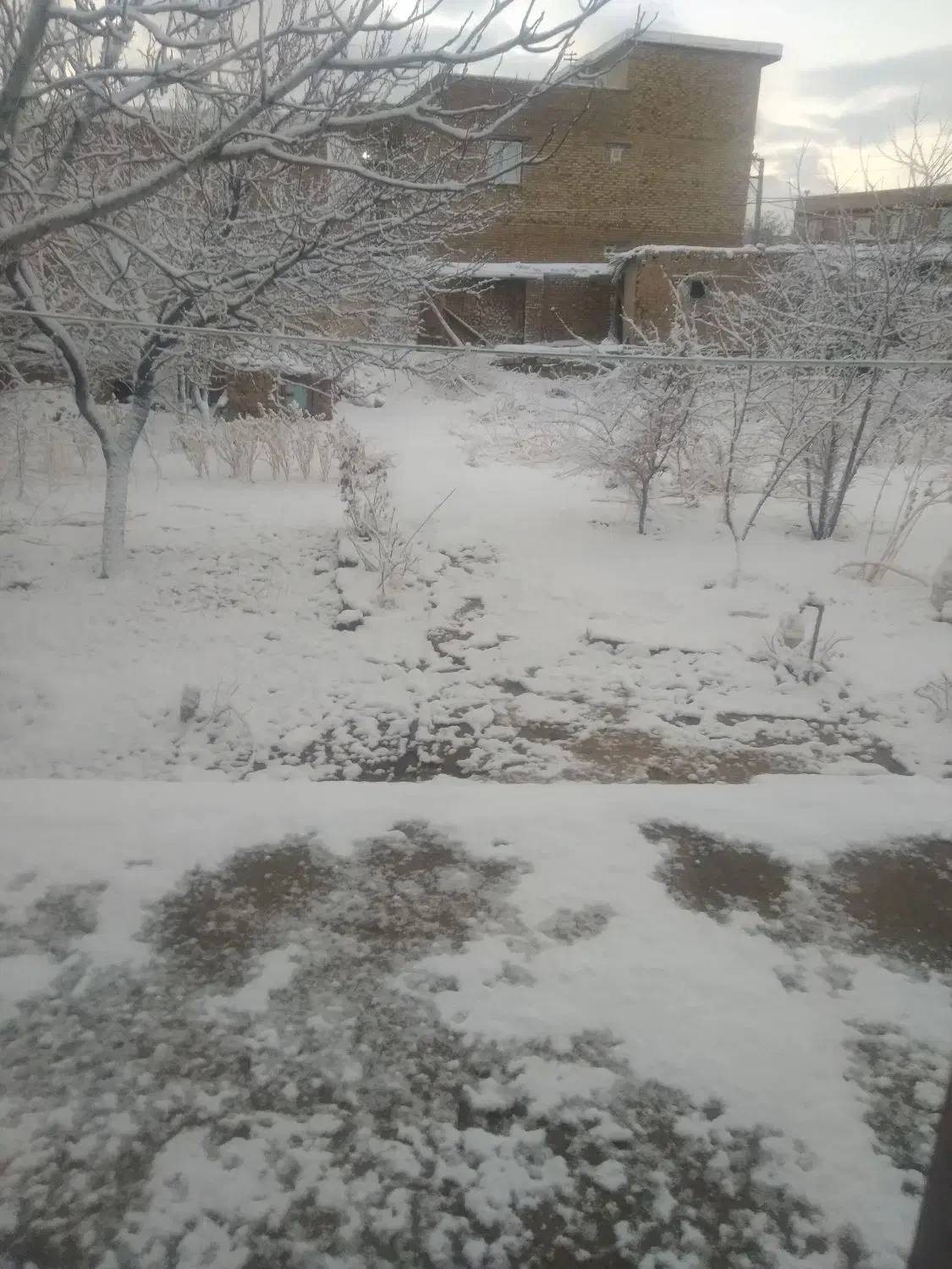 راهنمایی کنید|فعالیت داوطلبانه|همدان, |دیوار