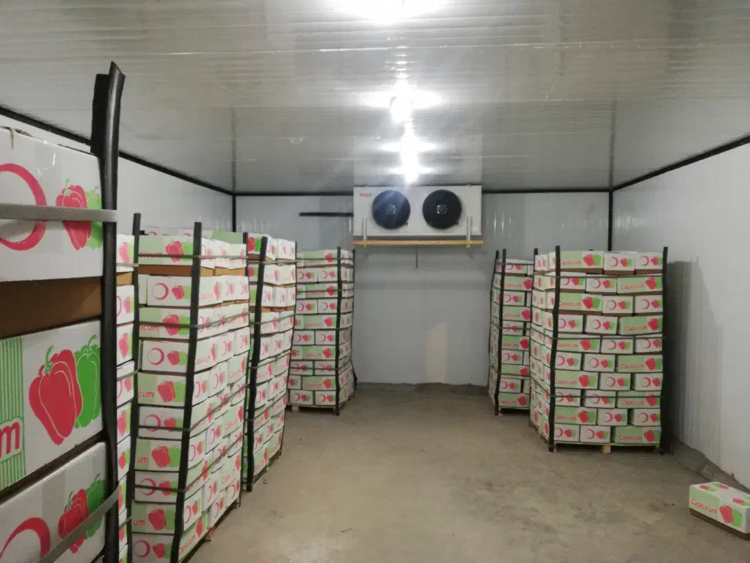 ساخت تعمیر و تجهیز سردخانه، چیلر|خدمات پیشه و مهارت|مبارکه, |دیوار