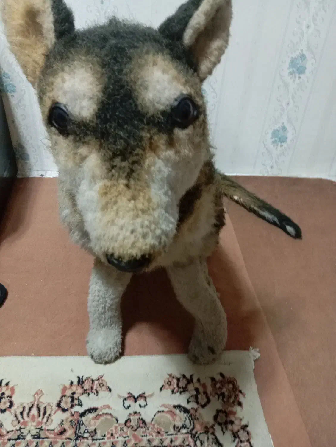 عروسک گرگی|اسباببازی|اسلامشهر, شهرک مهدیه|دیوار