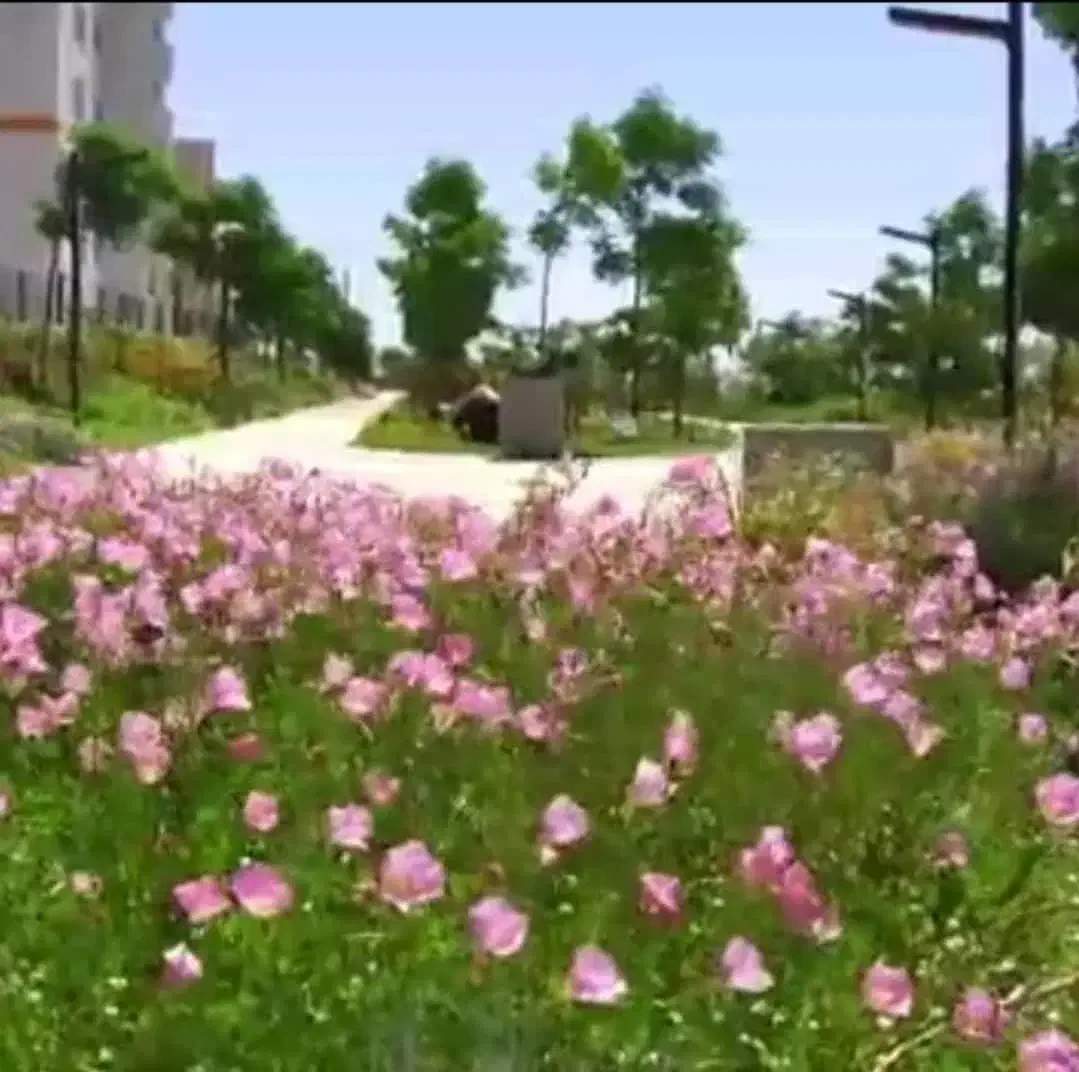 ۱۰۹متر  . ۲خواب  . همراهشهر