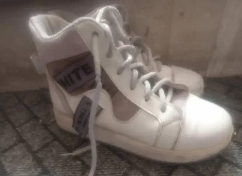 کتونی|کیف، کفش، کمربند|بروجرد, |دیوار