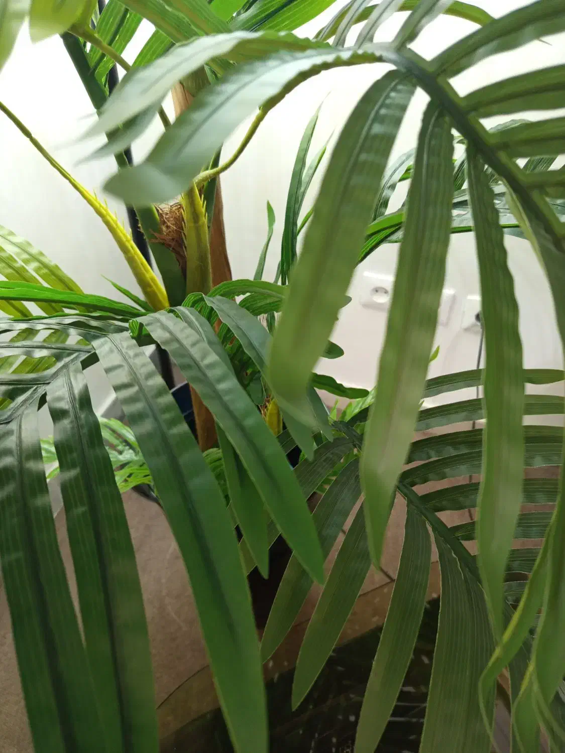 گل کنتیا نو|گل مصنوعی|تهران, جوادیه تهرانپارس|دیوار