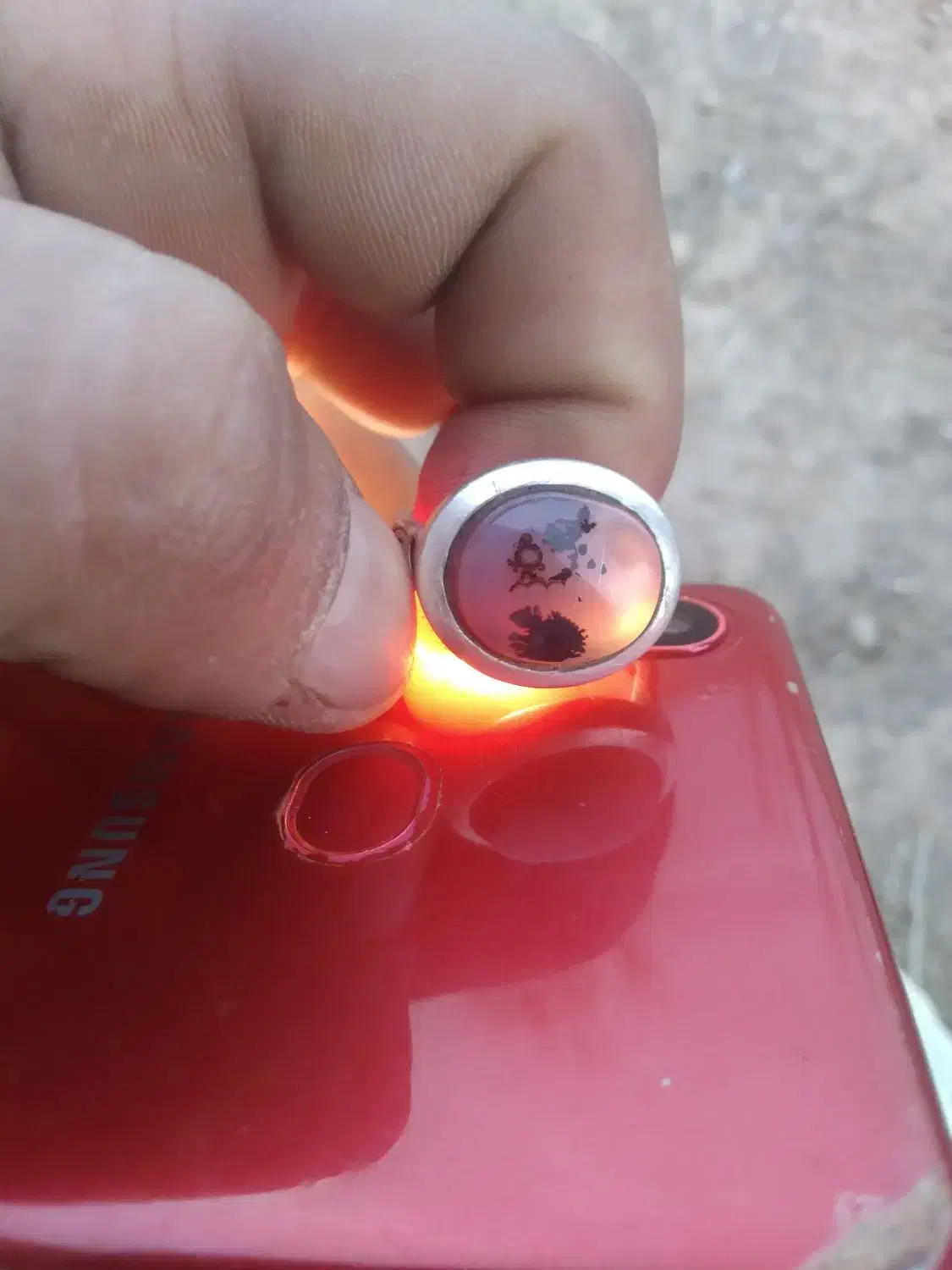 آنگوشتر شجر|کلکسیون اشیاء عتیقه|تایباد, |دیوار