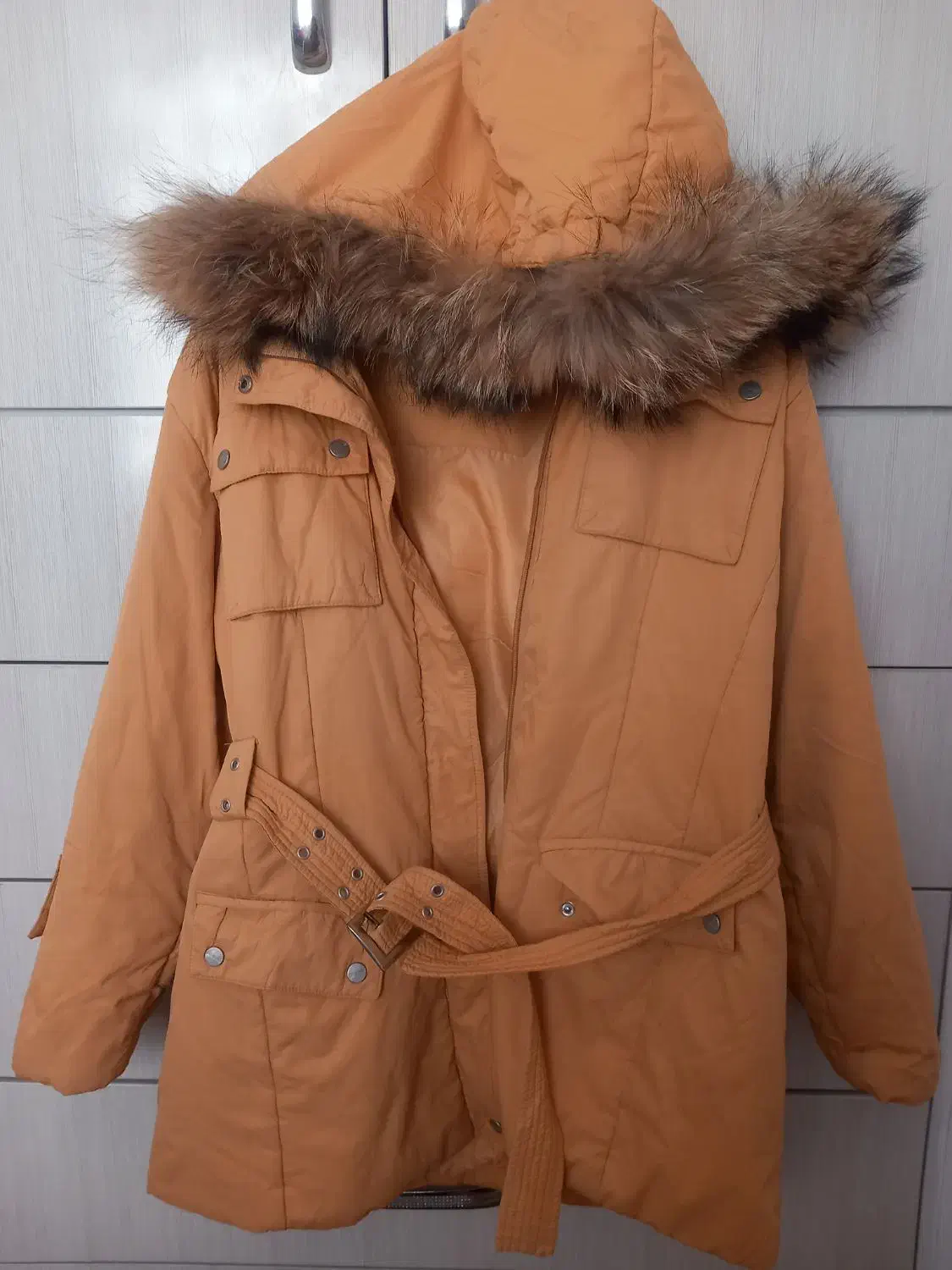 کت زنانه|لباس|سنندج, |دیوار