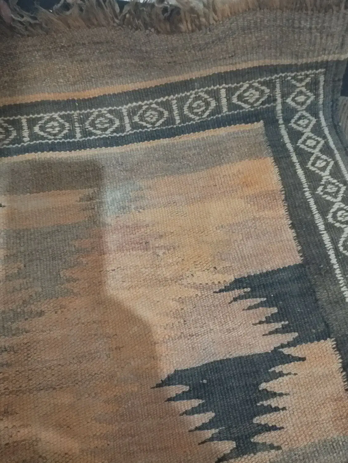 قالیچه دستبافت|فرش|زاهدان, |دیوار