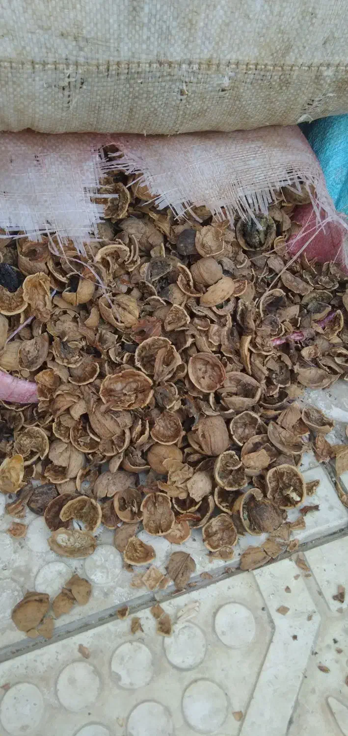 پوست گردو|عمده‌فروشی|مشهد, موسوی قوچانی|دیوار