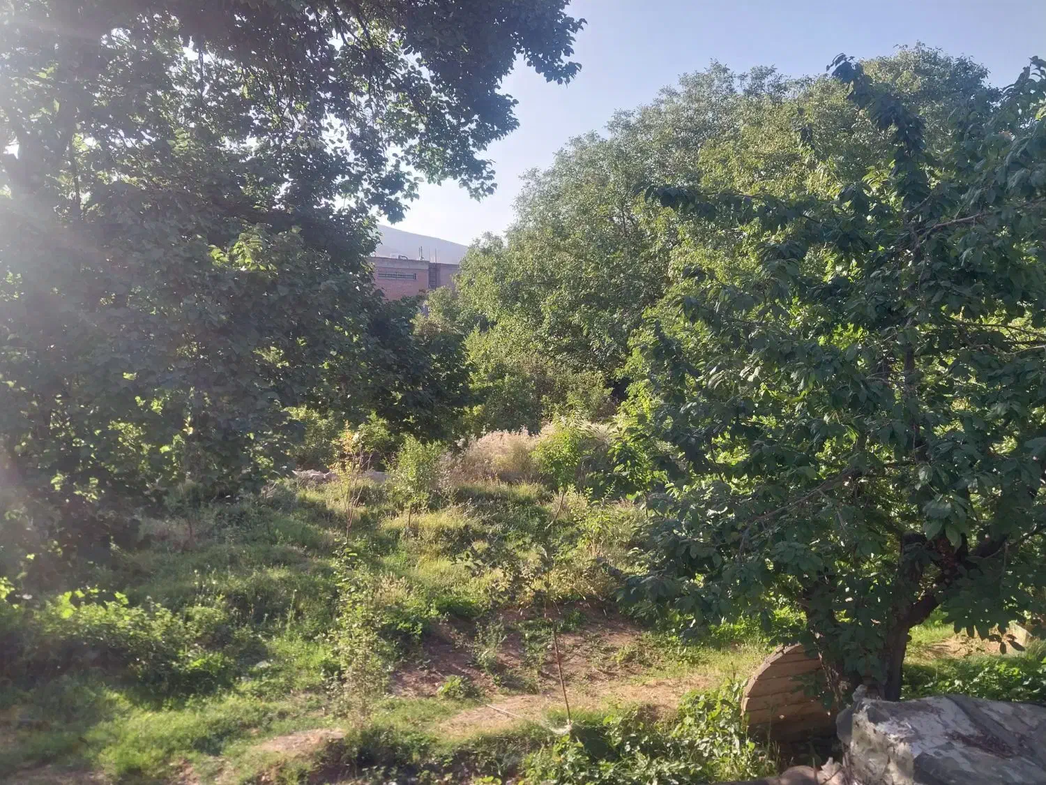 باغ بدون حصار|فروش دفتر صنعتی، کشاورزی، تجاری|ماهان, |دیوار