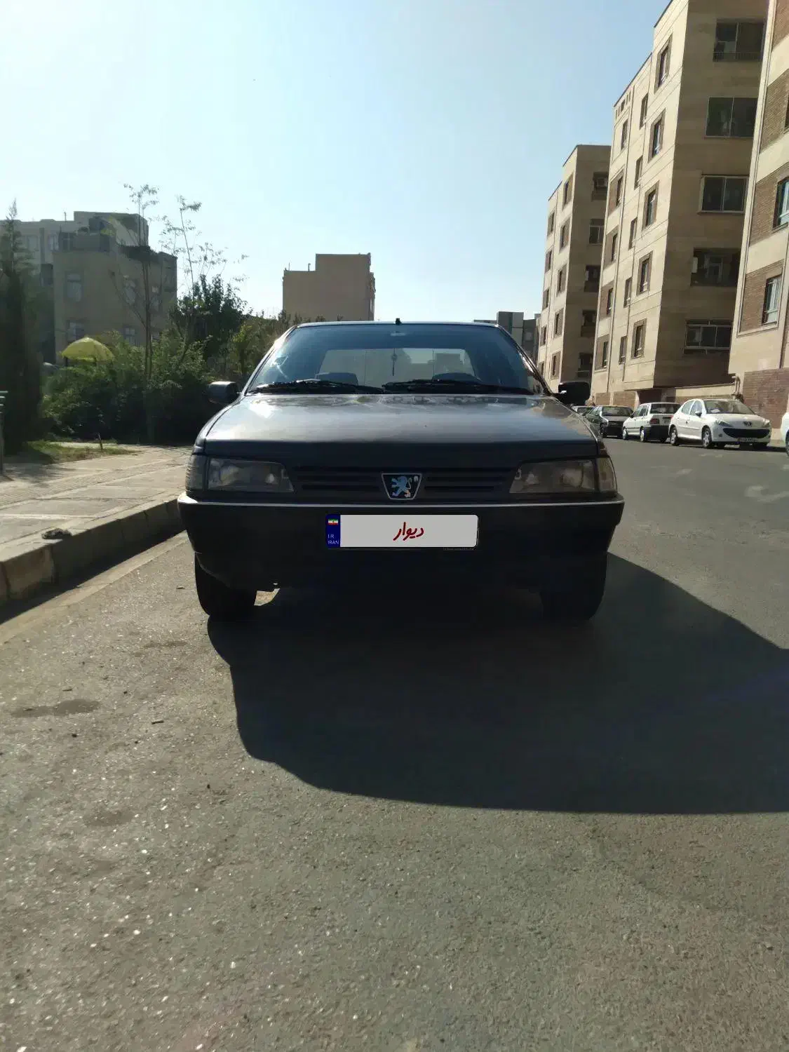 پژو روآ مدل ۸۶|خودرو سواری و وانت|ری, علایین|دیوار