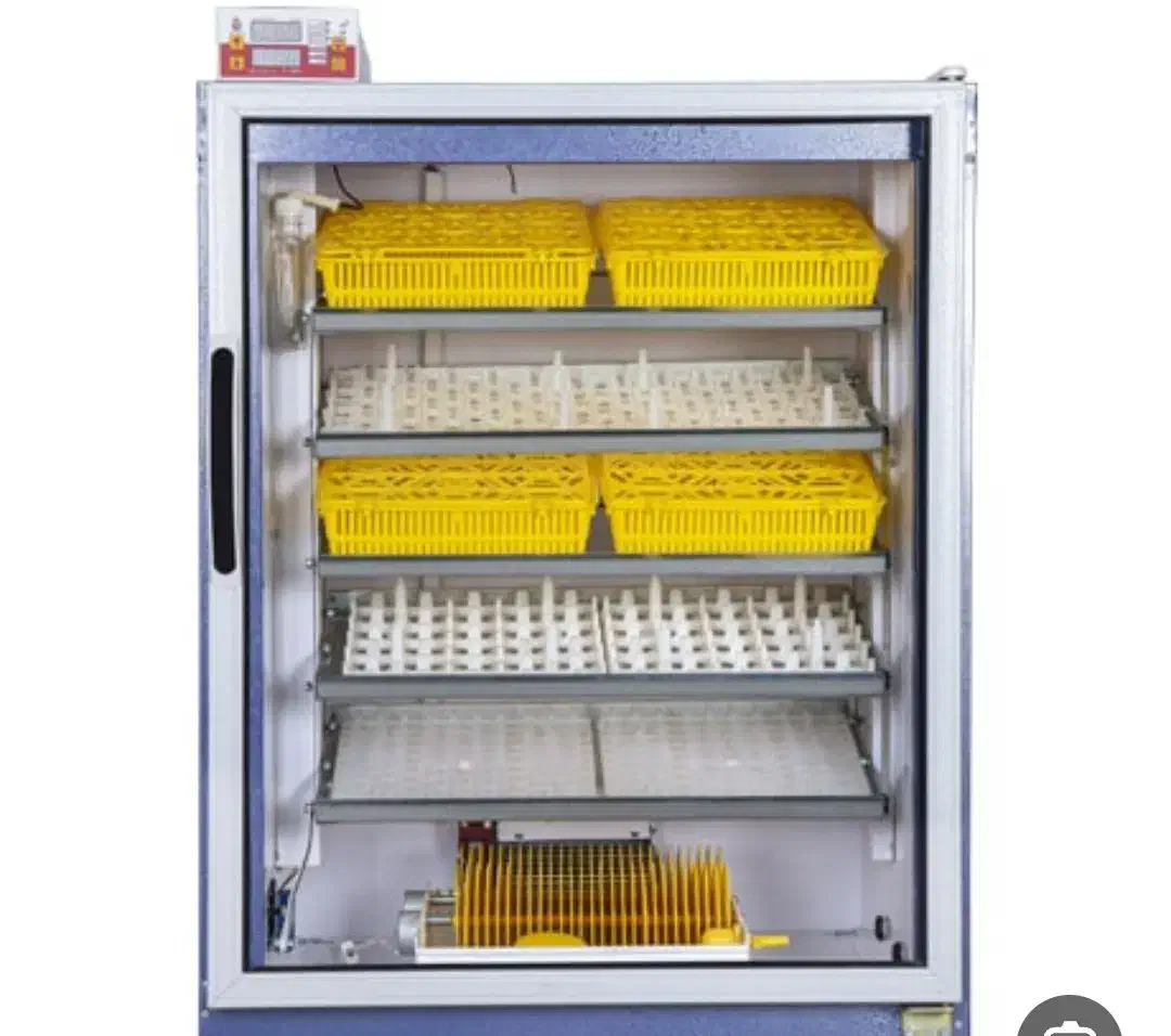 جوجه کشی|لوازم جانبی حیوانات|میناب, |دیوار