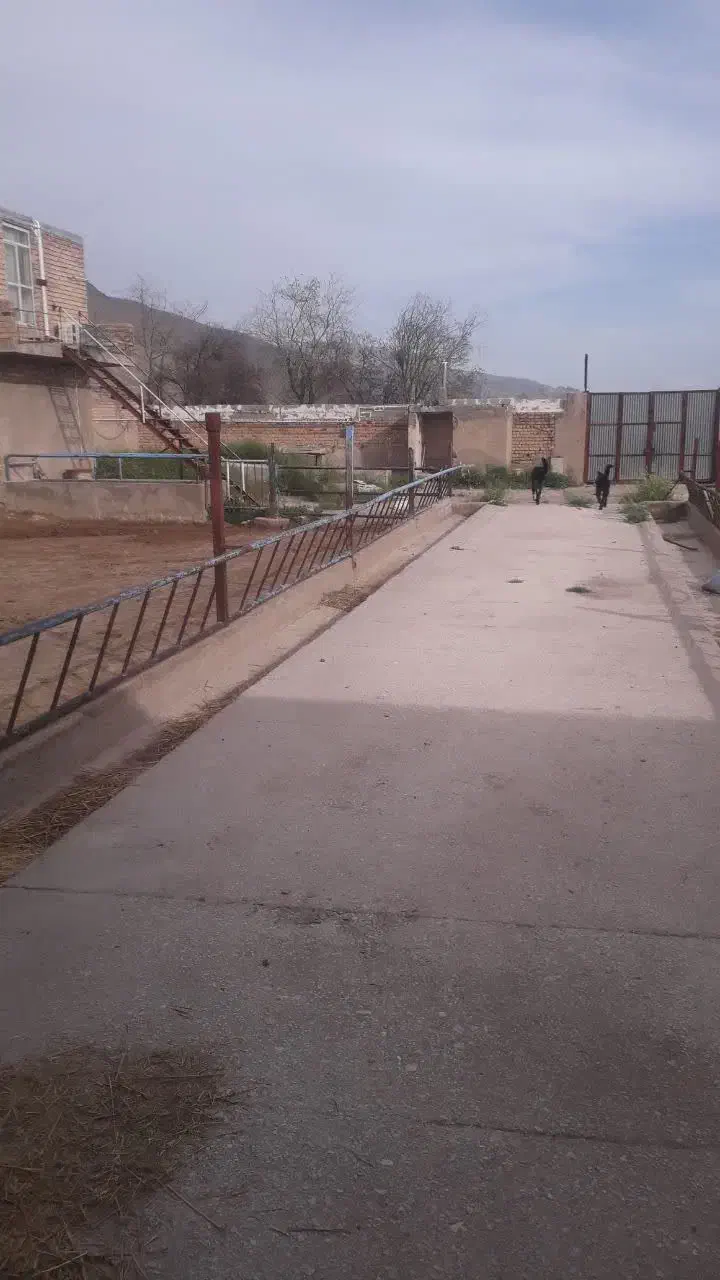 اجاره گاوداری|اجارهٔ دفتر صنعتی، کشاورزی، تجاری|مرودشت, محمد آباد|دیوار