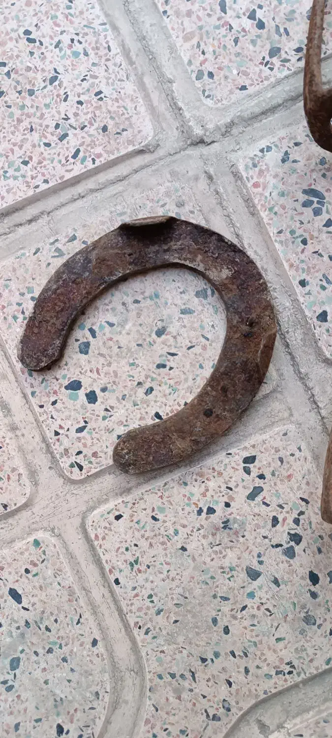 نعل اسب|اسب و تجهیزات اسب‌سواری|اردبیل, |دیوار