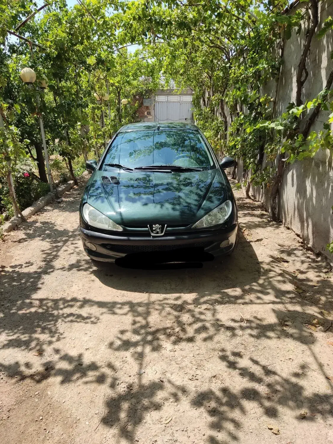 فروش 206 مدل 82|خودرو سواری و وانت|گوگان, |دیوار