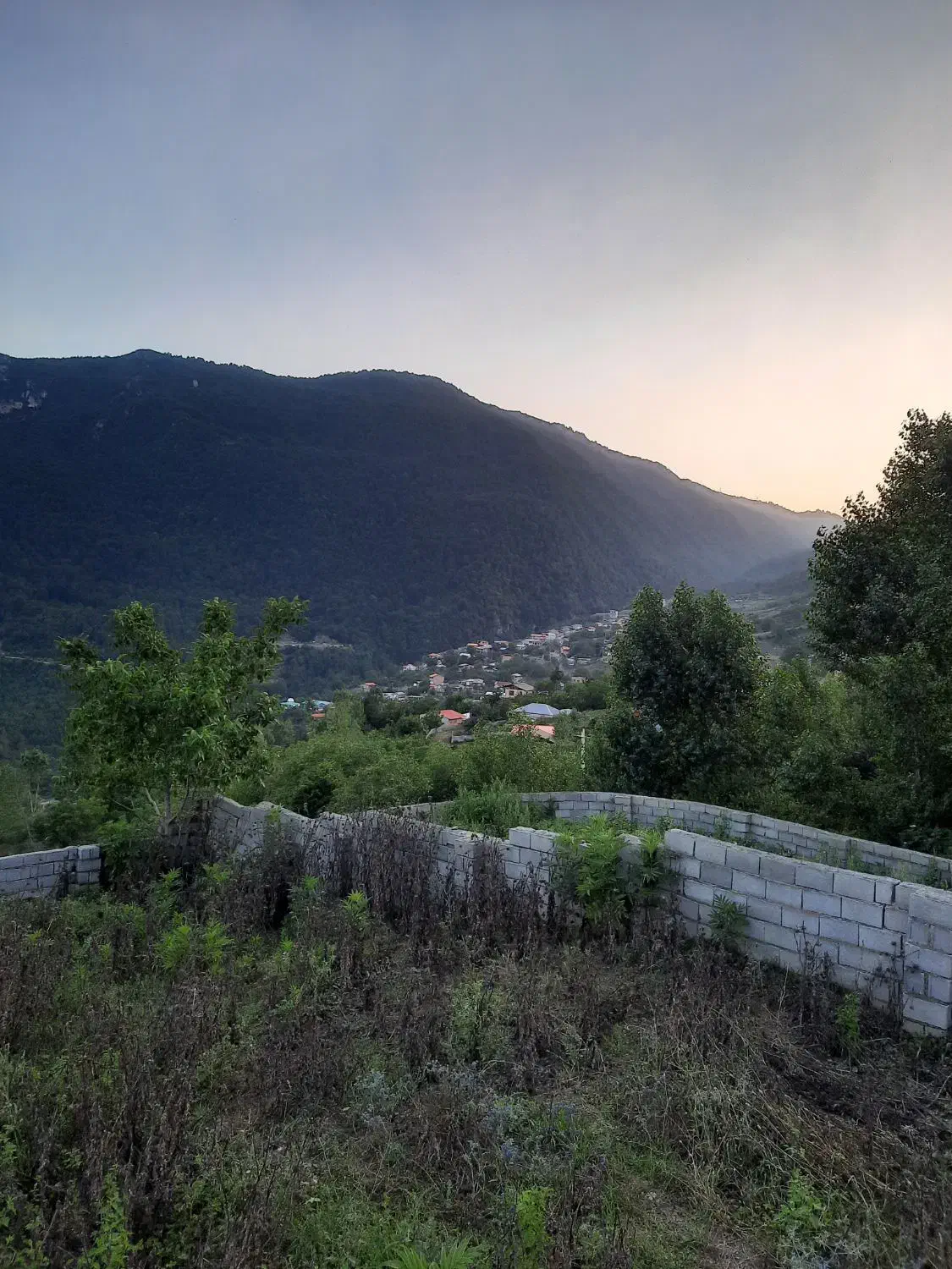 فروش زمین مسکونی در ییلاق با ویو ابدی|فروش زمین و ملک کلنگی|آلاشت, |دیوار