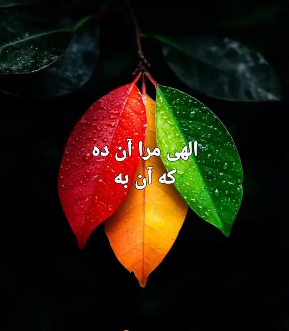 آرایشگاه زنانه|خدمات آرایشگری و زیبایی|ساری, |دیوار