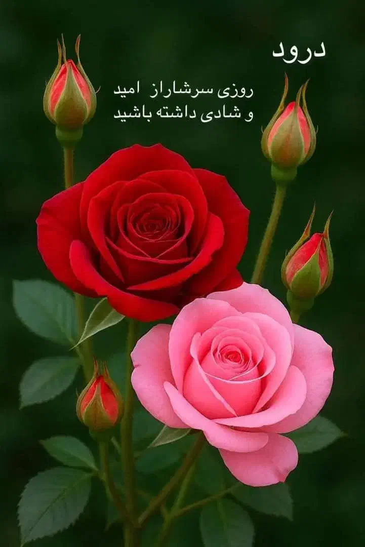 اعزام همراه مریض شبانه روزی بیمارستان|خدمات آرایشگری و زیبایی|تهران, ایران|دیوار