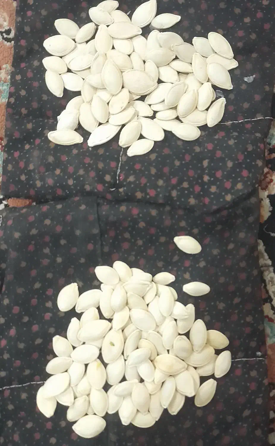 خشکبار|خوردنی و آشامیدنی|اردکان, |دیوار