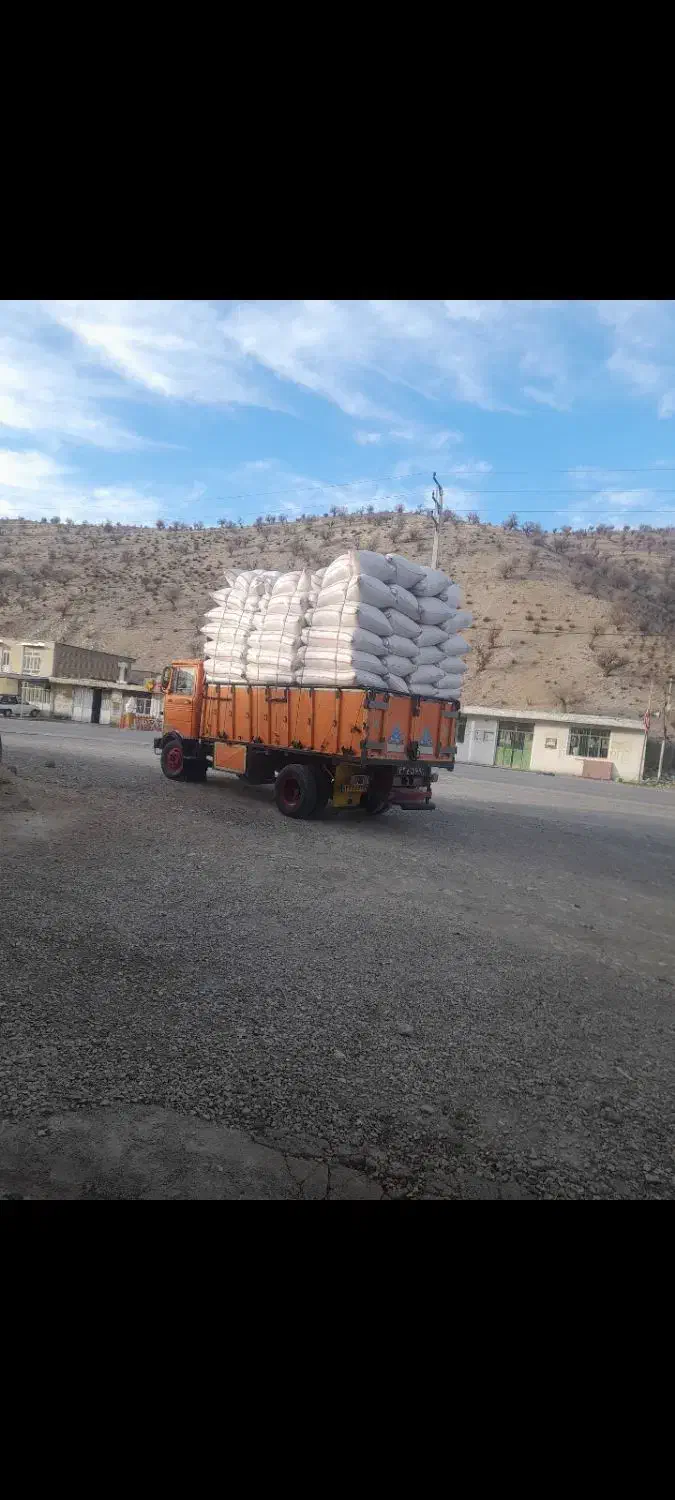 کاه گندم سفید دیم دان ریز سفید خورا تحویلی|حیوانات مزرعه|ایلام, |دیوار