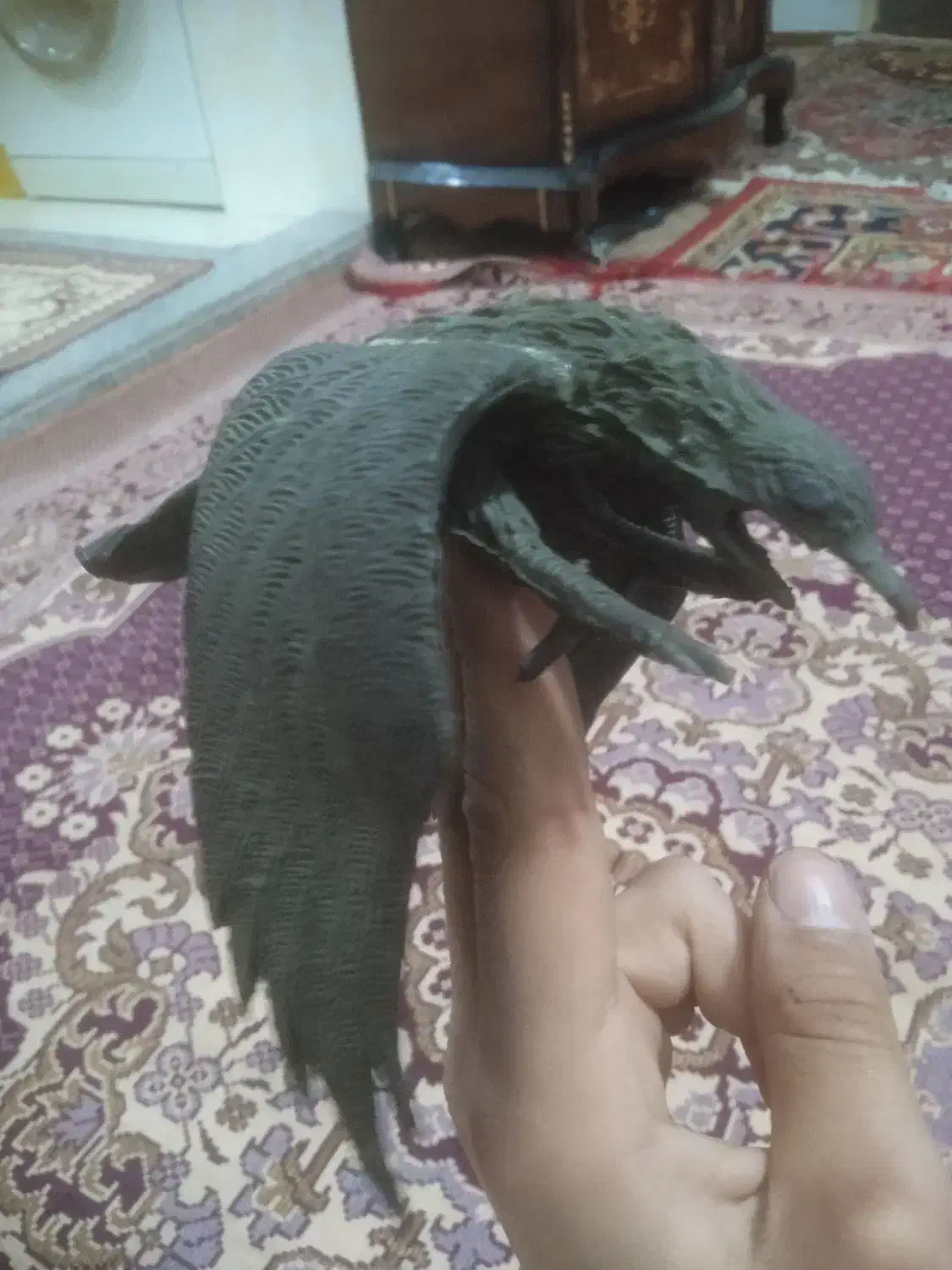 قرقی آویز ایرانی|کلکسیون اشیاء عتیقه|سهند, |دیوار