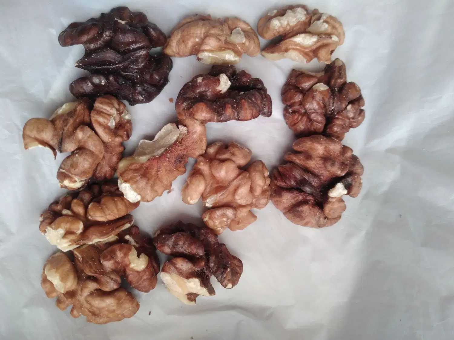 گردو|خوردنی و آشامیدنی|اصفهان, لاله|دیوار
