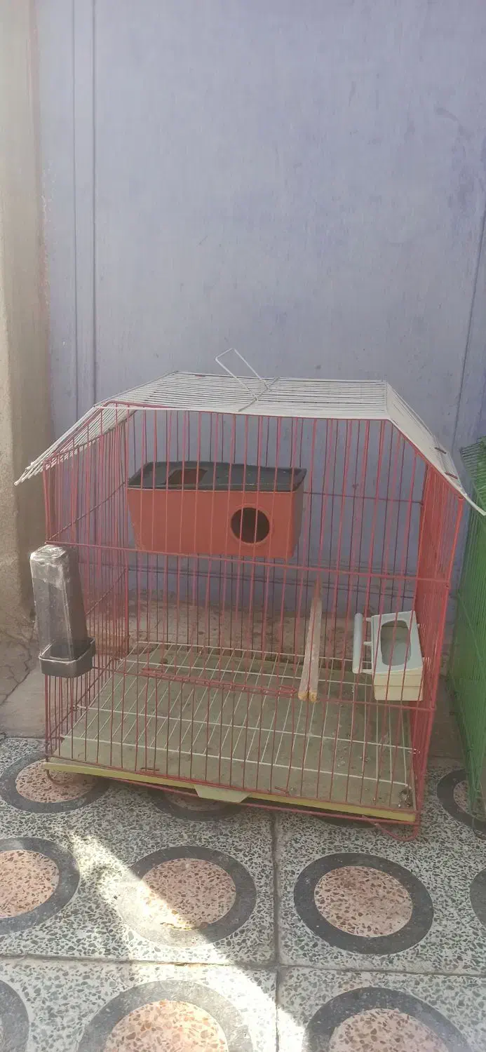 قفس|لوازم جانبی حیوانات|یاسوج, |دیوار