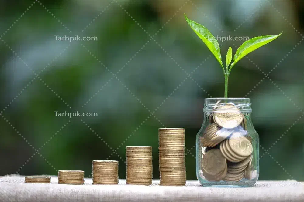 سرمایه گذار|خدمات مالی، حسابداری، بیمه|تربت جام, المهدی|دیوار