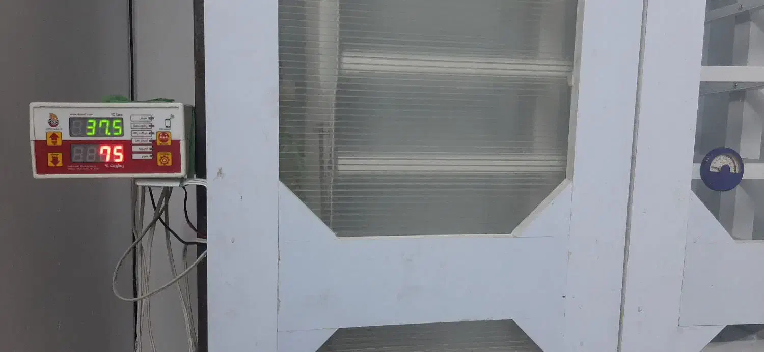 دستگاه جوجه کشی 1800 تایی|لوازم جانبی حیوانات|شاهرود, |دیوار