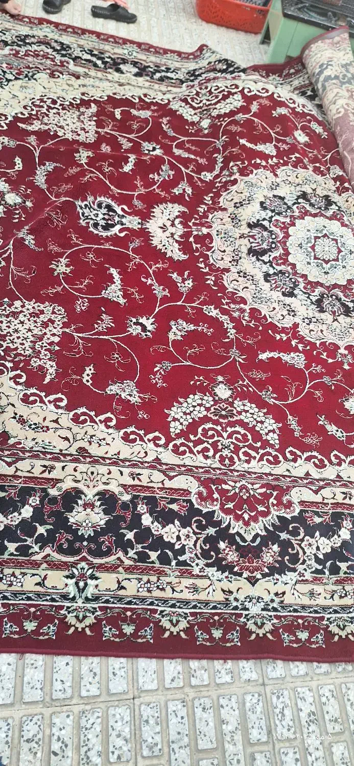 فرش۱۲متری|فرش|شاهرود, |دیوار