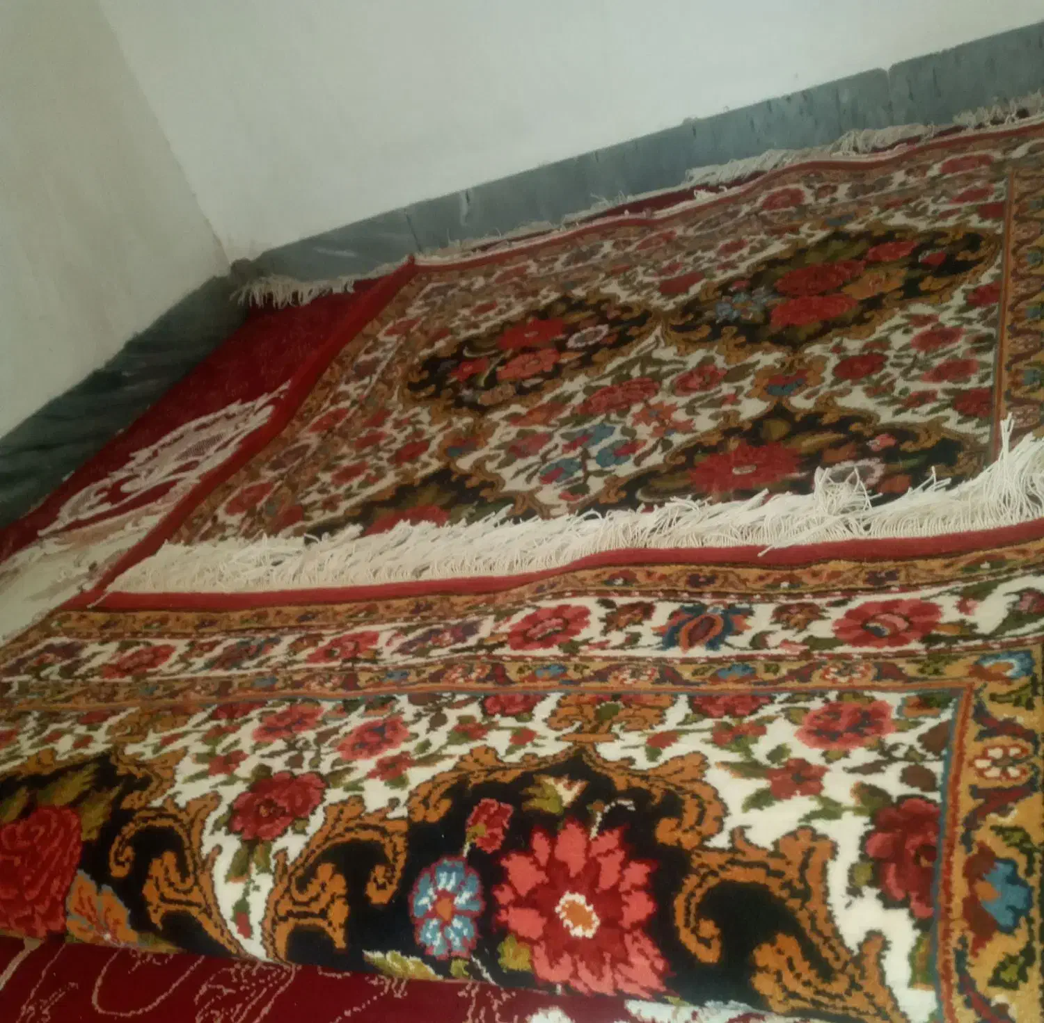 قالی ذرع و نیم قاب شیدا رنگ خومه ثابت جهادی|فرش|شهرکرد, |دیوار