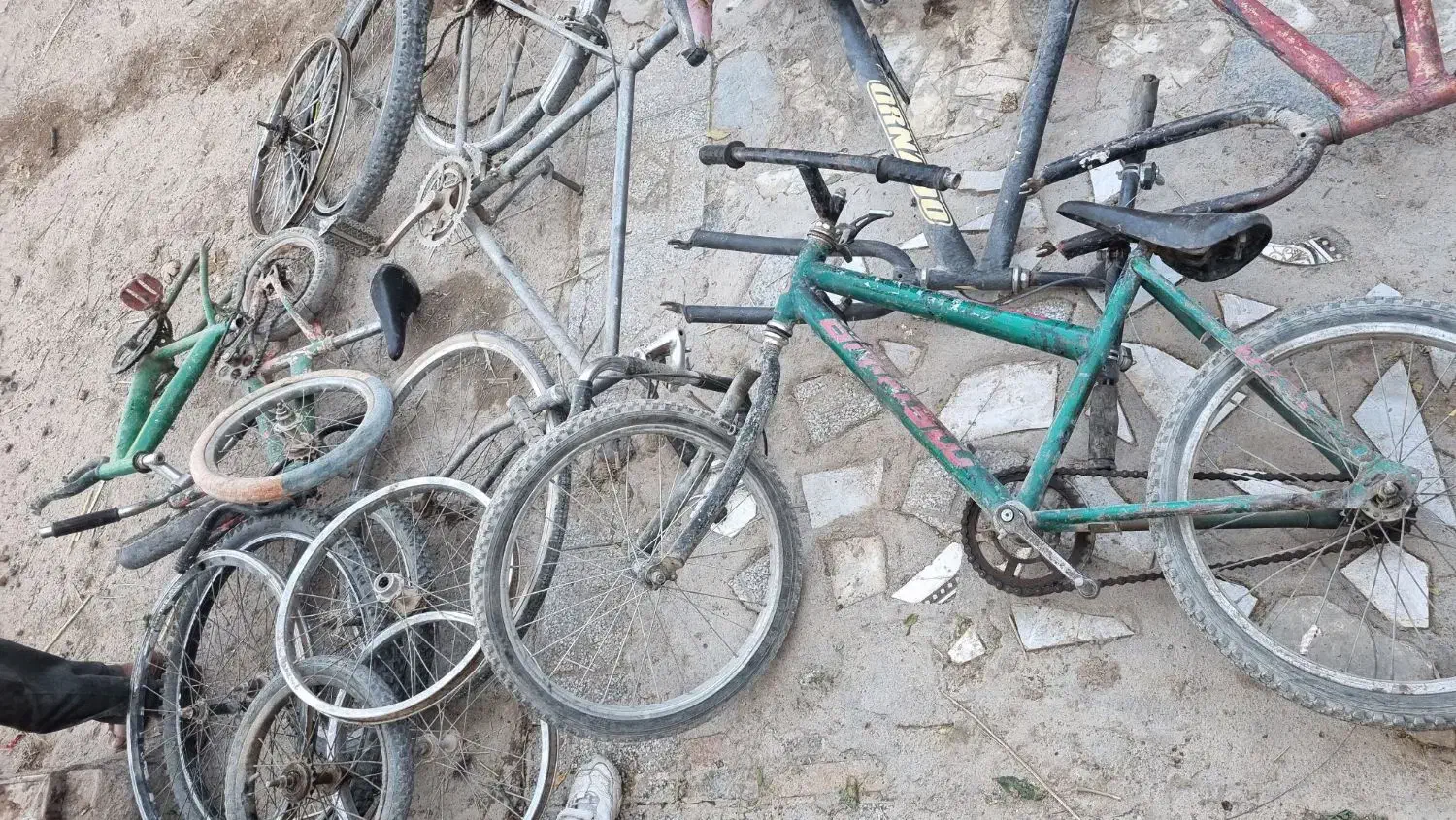 تعدادی دوچرخه|دوچرخه، اسکیت، اسکوتر|کرمان, |دیوار