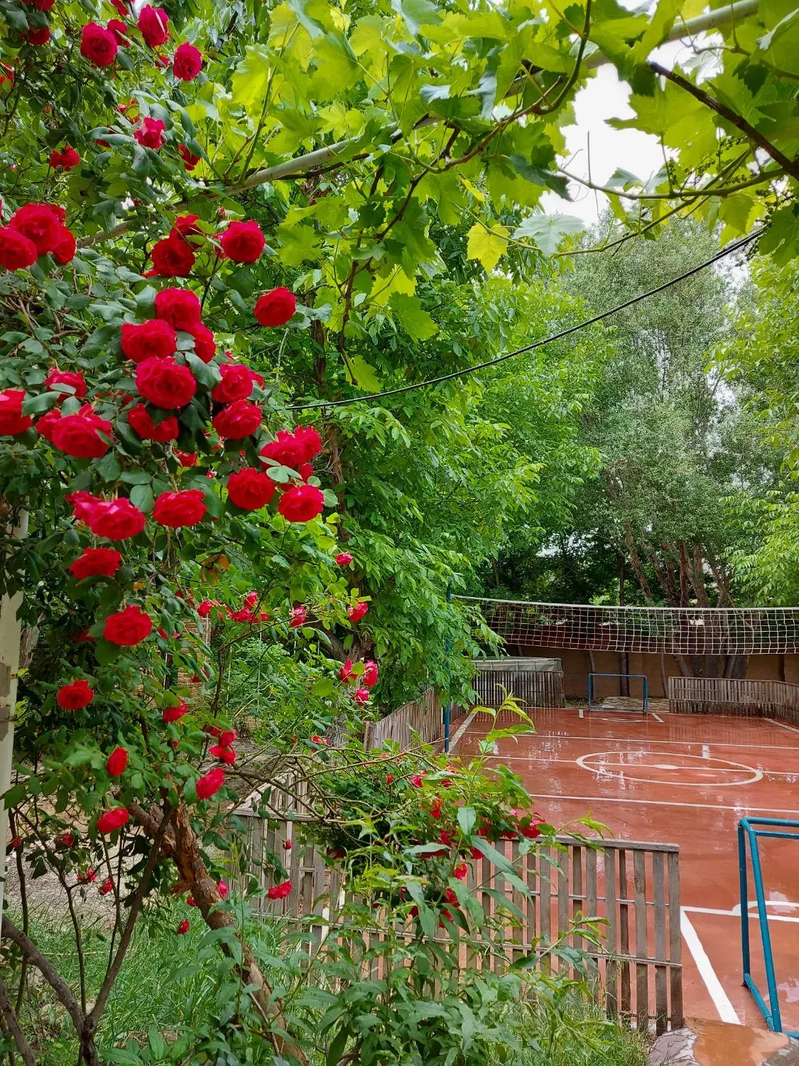 خانه باغ بانو صحرا کردان داخل بافت سنددار|فروش خانه و ویلا|کوهسار (البرز), |دیوار