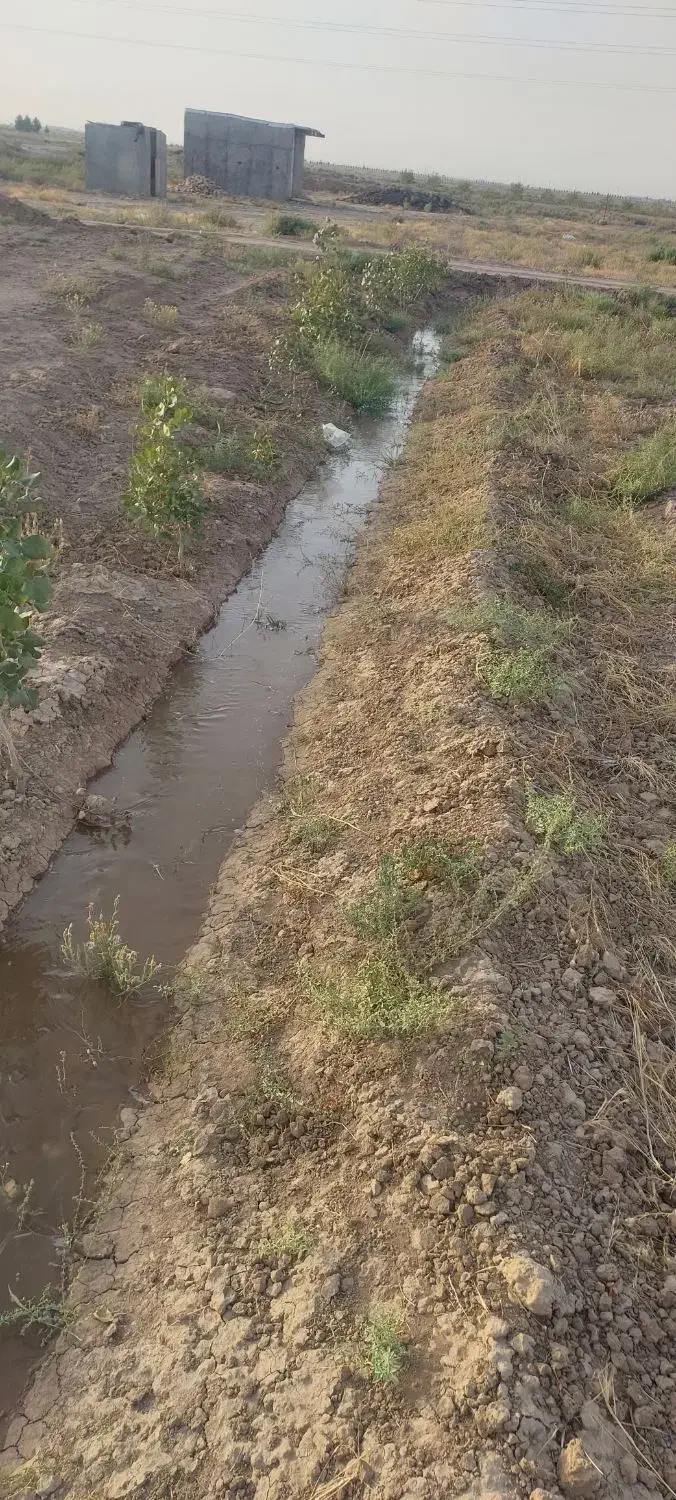 باغ پسته|فروش زمین و ملک کلنگی|بوئین زهرا, |دیوار