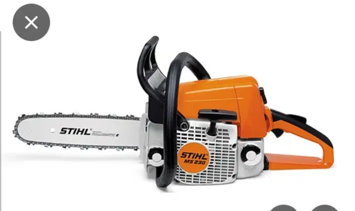 قطع درختان باغی وغیر باغی|خدمات باغبانی و درختکاری|بابل, |دیوار