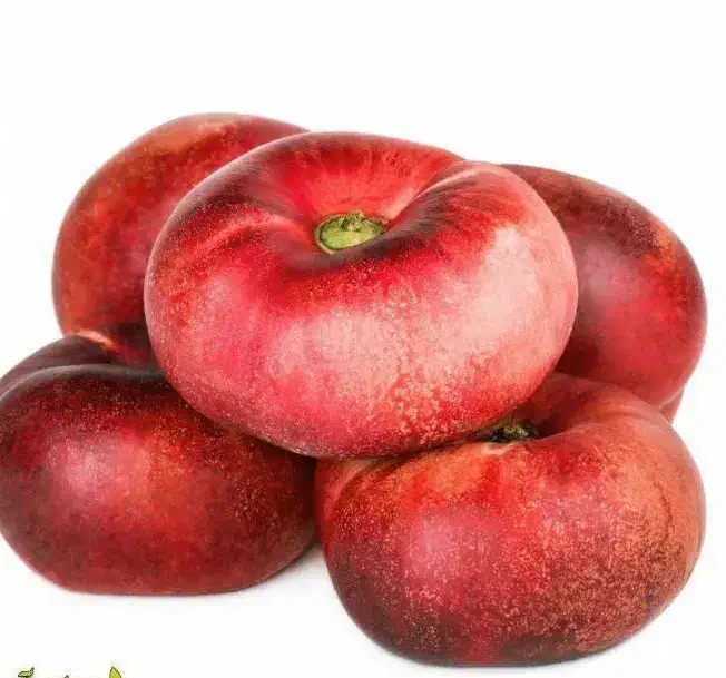 فروش نهال شلیل انجیری|خدمات باغبانی و درختکاری|لردگان, |دیوار