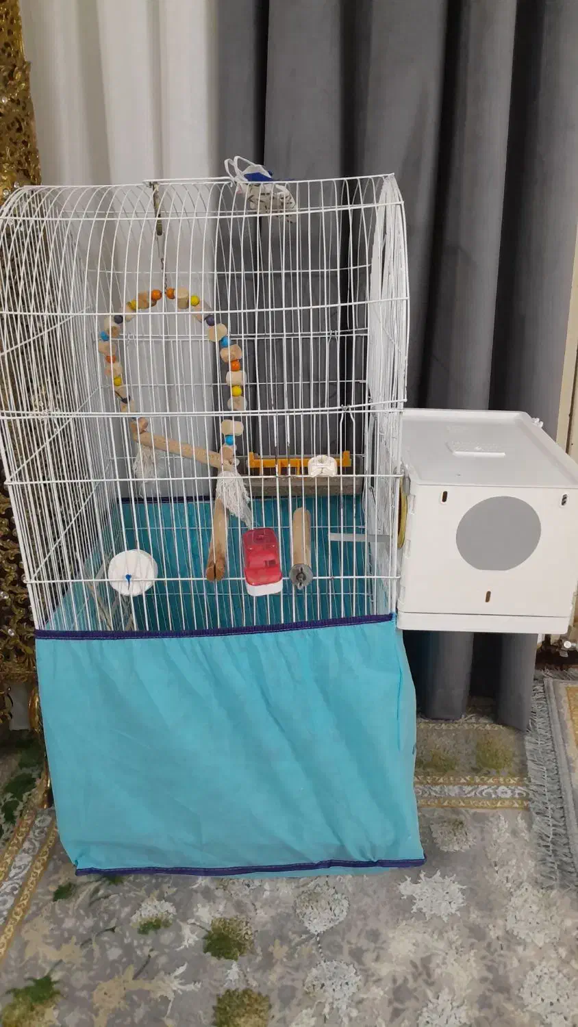 قفس|لوازم جانبی حیوانات|خرم‌آباد, |دیوار