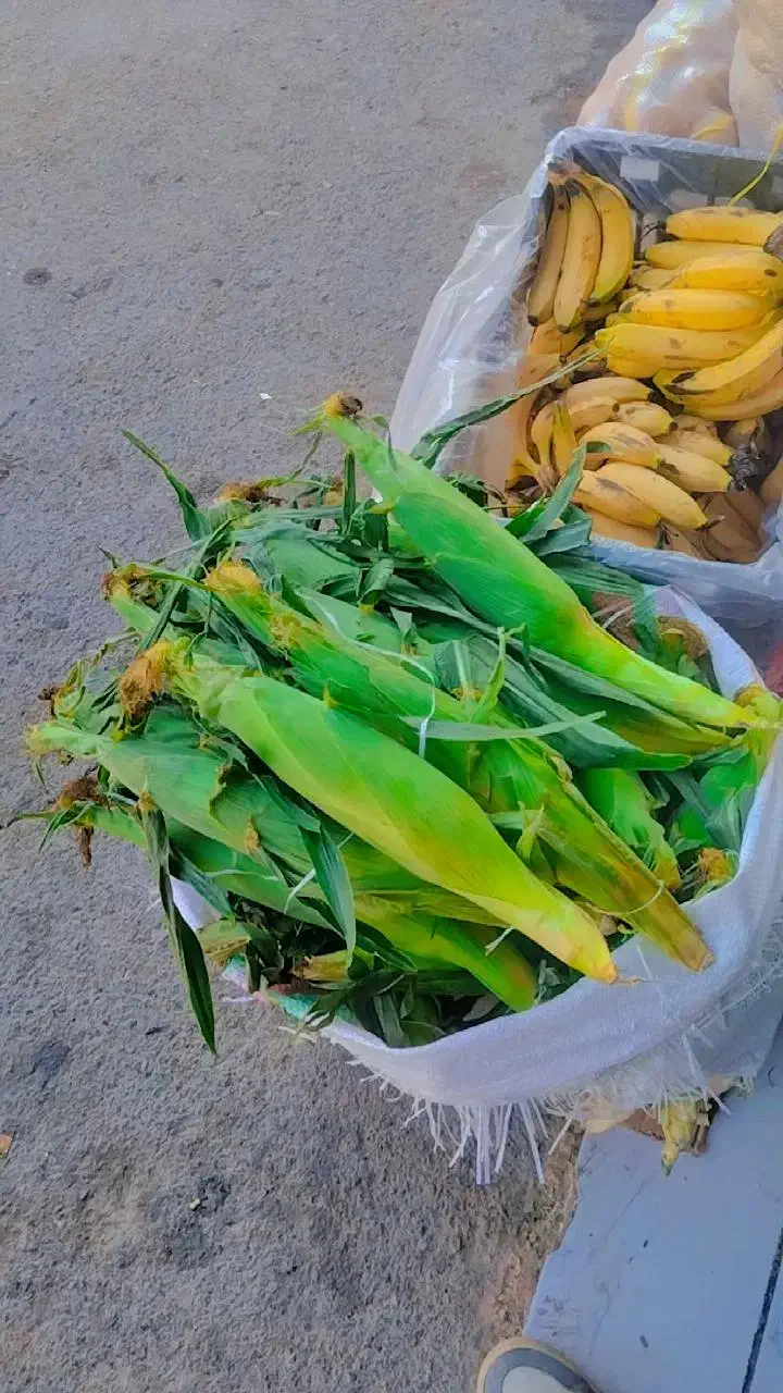 میوه|استخدام خدمات فروشگاه و رستوران|بیرجند, |دیوار