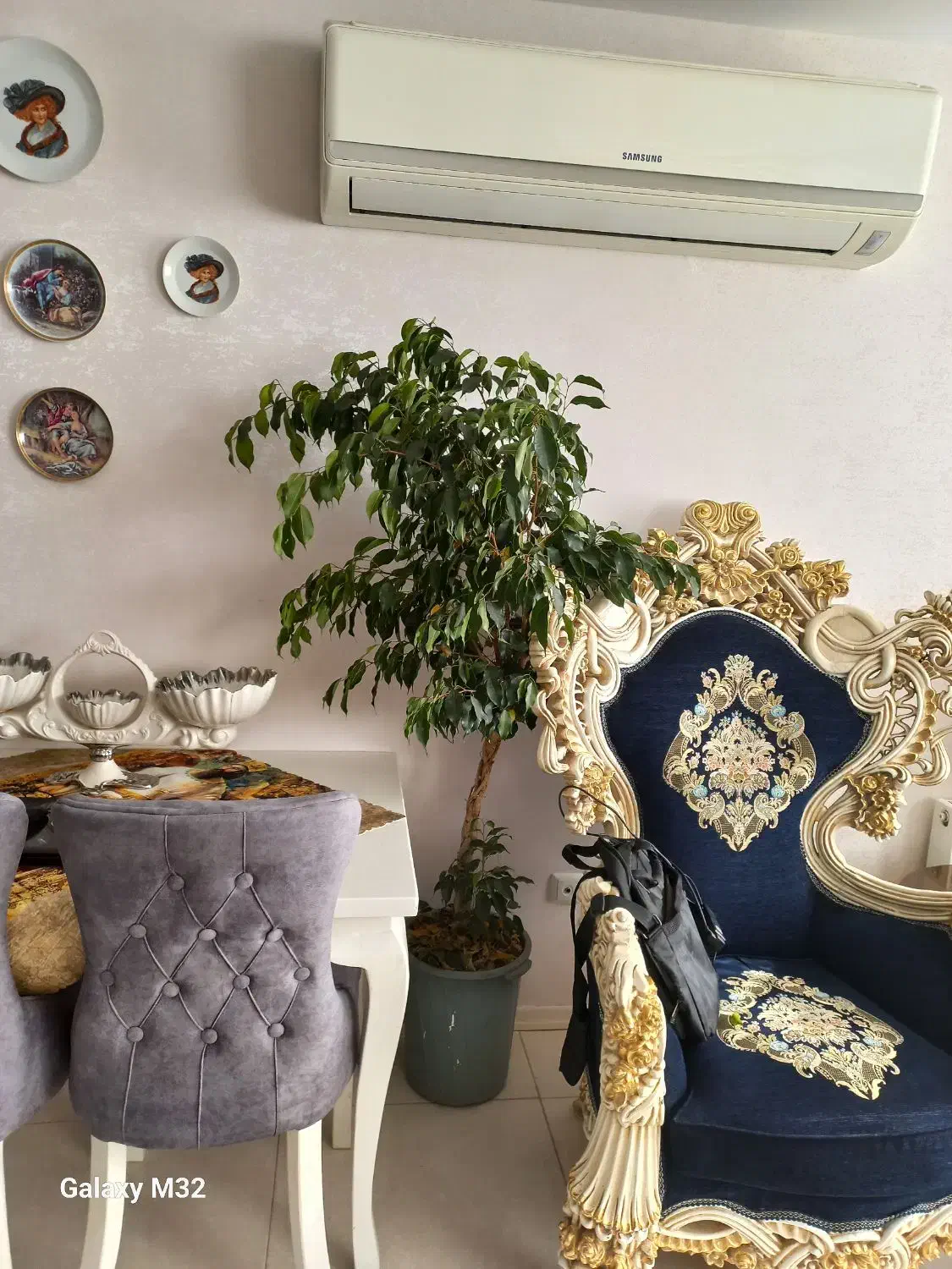 درختچه ی طبیعی بنجامین|گل و گیاه طبیعی|کرج, باغستان|دیوار