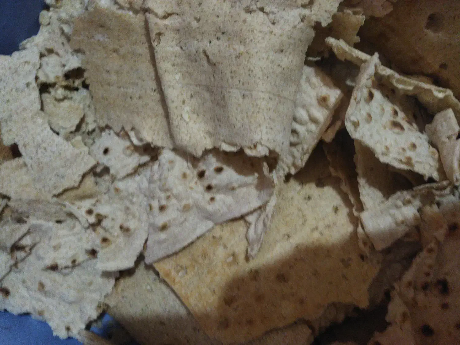 نان خشک|لوازم جانبی حیوانات|بیرجند, |دیوار