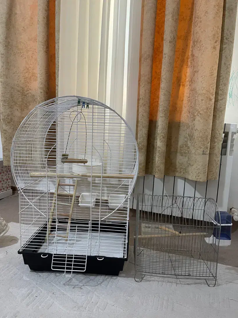 قفس پرنده طوطی مرغ عشق دوعدد|لوازم جانبی حیوانات|سیرجان, |دیوار