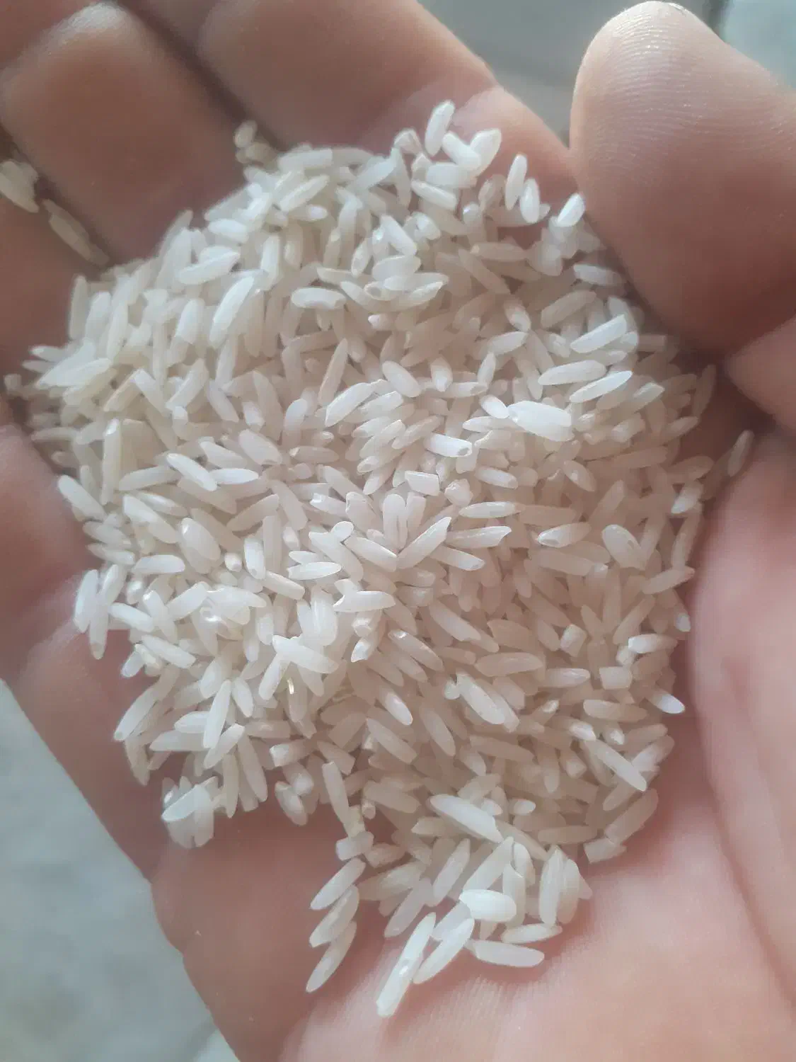 برنج هاشمی اصل دره رود اعلا|خوردنی و آشامیدنی|گرمی, |دیوار