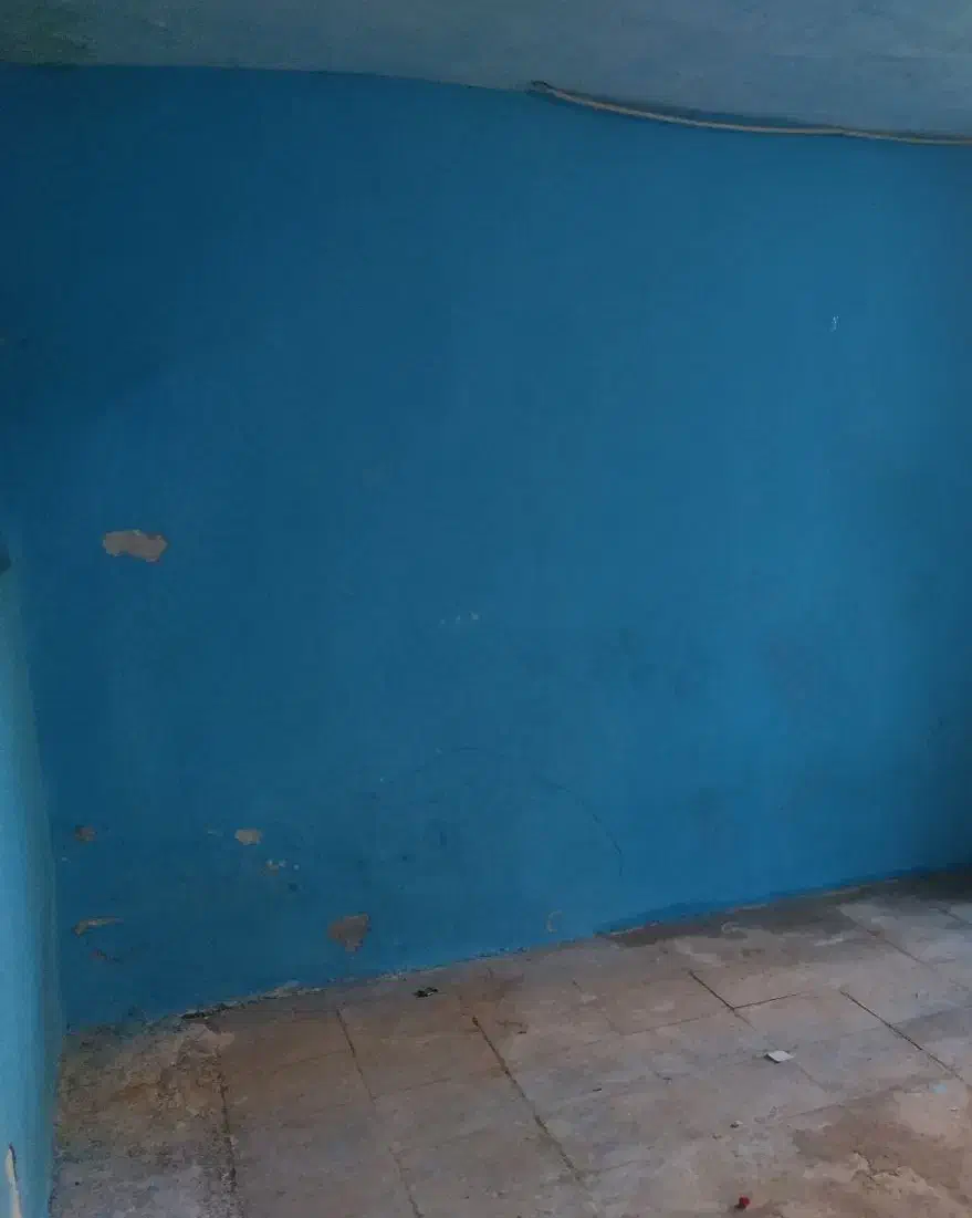 اتاق اجارهای|اجارهٔ خانه و ویلا|شیراز, لب آب|دیوار