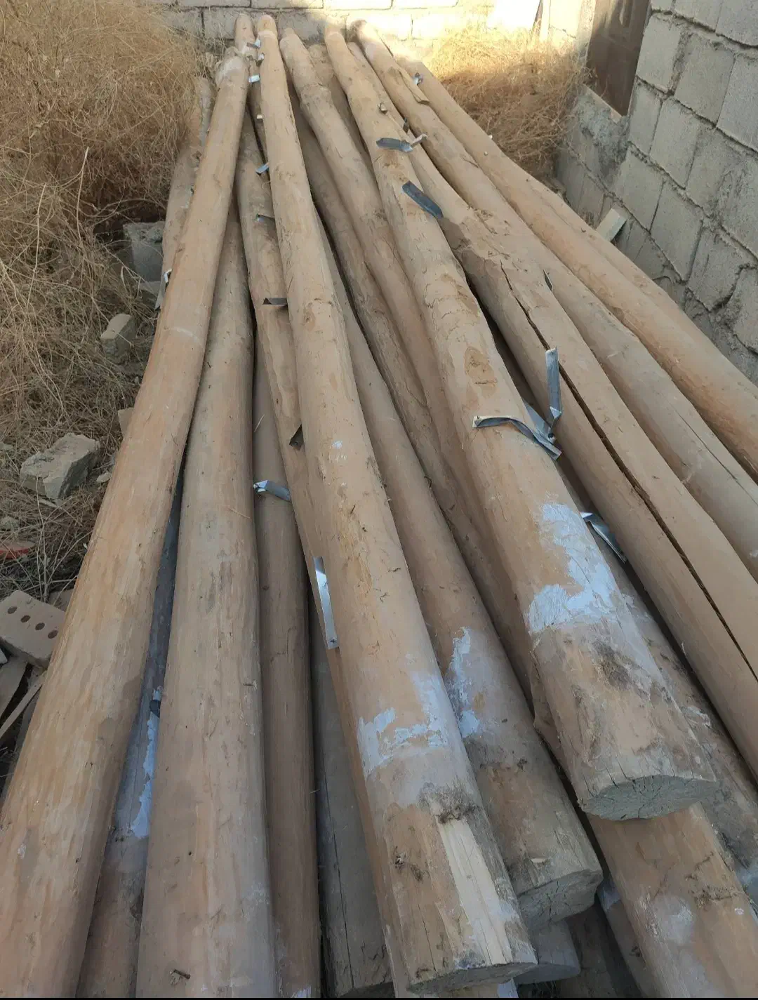 خرید چوب خشک|خدمات باغبانی و درختکاری|ارومیه, |دیوار